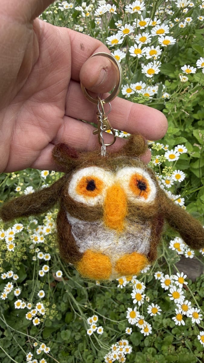 Who Whoo wants to learn needle felting? Photo