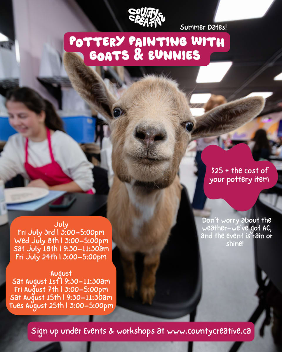 Pottery Painting with Goats & Bunnies at County Creative Photo