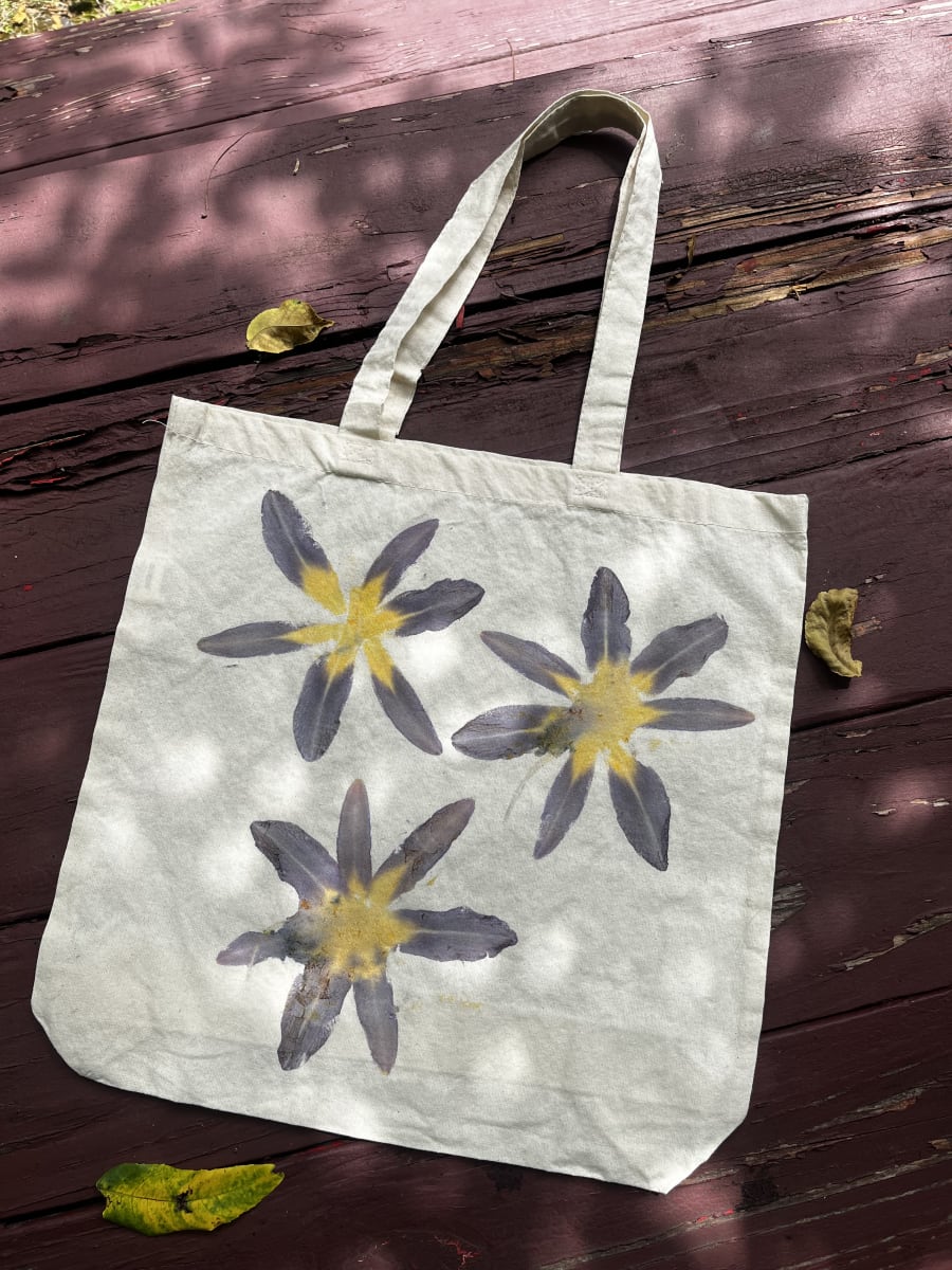 Flower Pounding with Theresa Gooby (Outdoor workshop, Adults & 15+) Photo