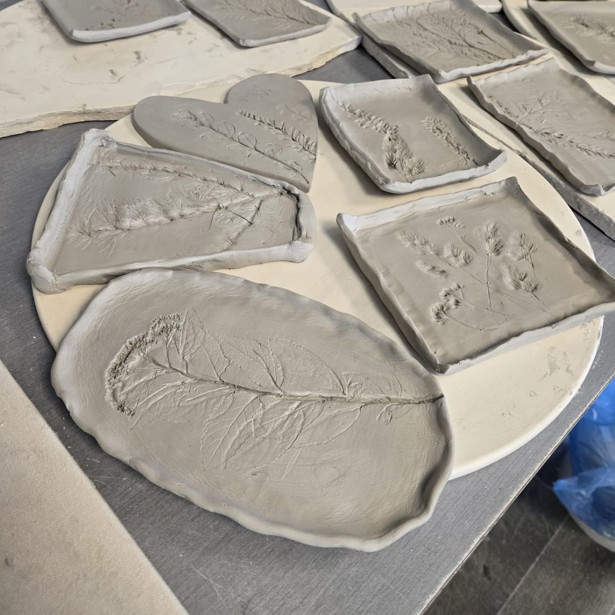 Clay Botanical Impressions Photo