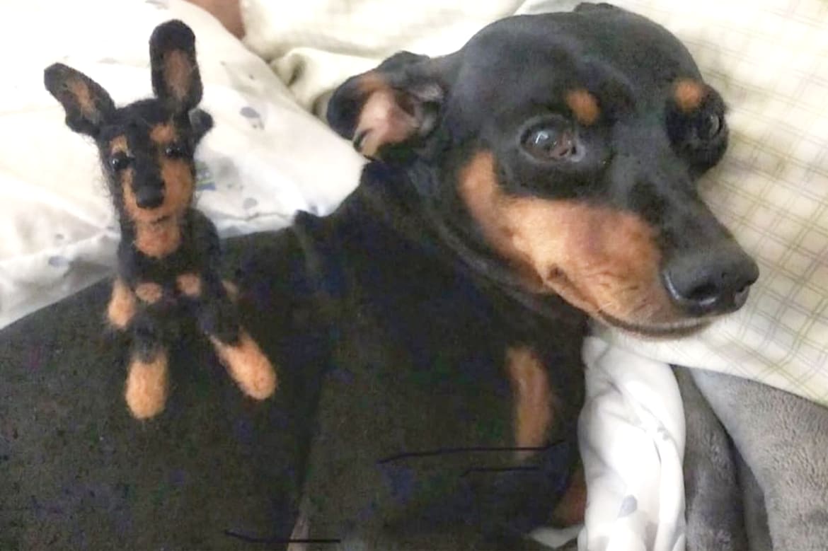 Needle Felt Your Dog Photo