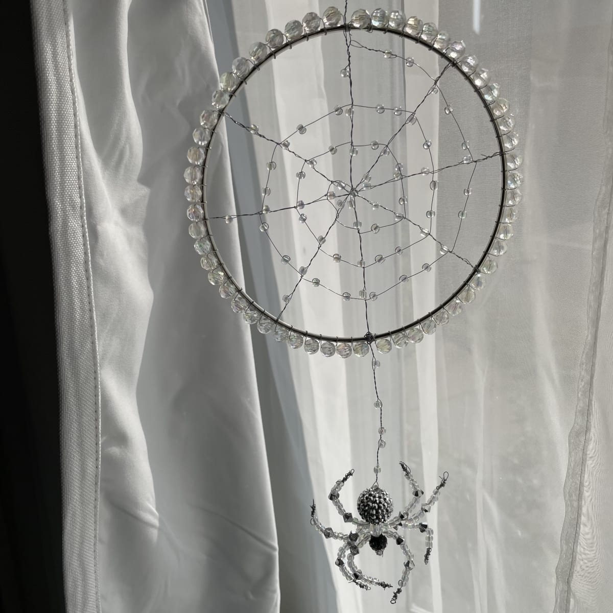 "Spider and Web” Suncatcher Class Photo