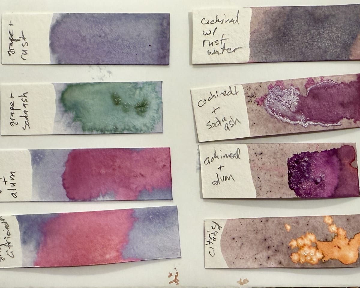 Handmade Natural Inks with Elizabeth Mihaltse Lindy - Beginner Friendly, Adults & 15+ at That Creative Space in Beacon, NY Photo
