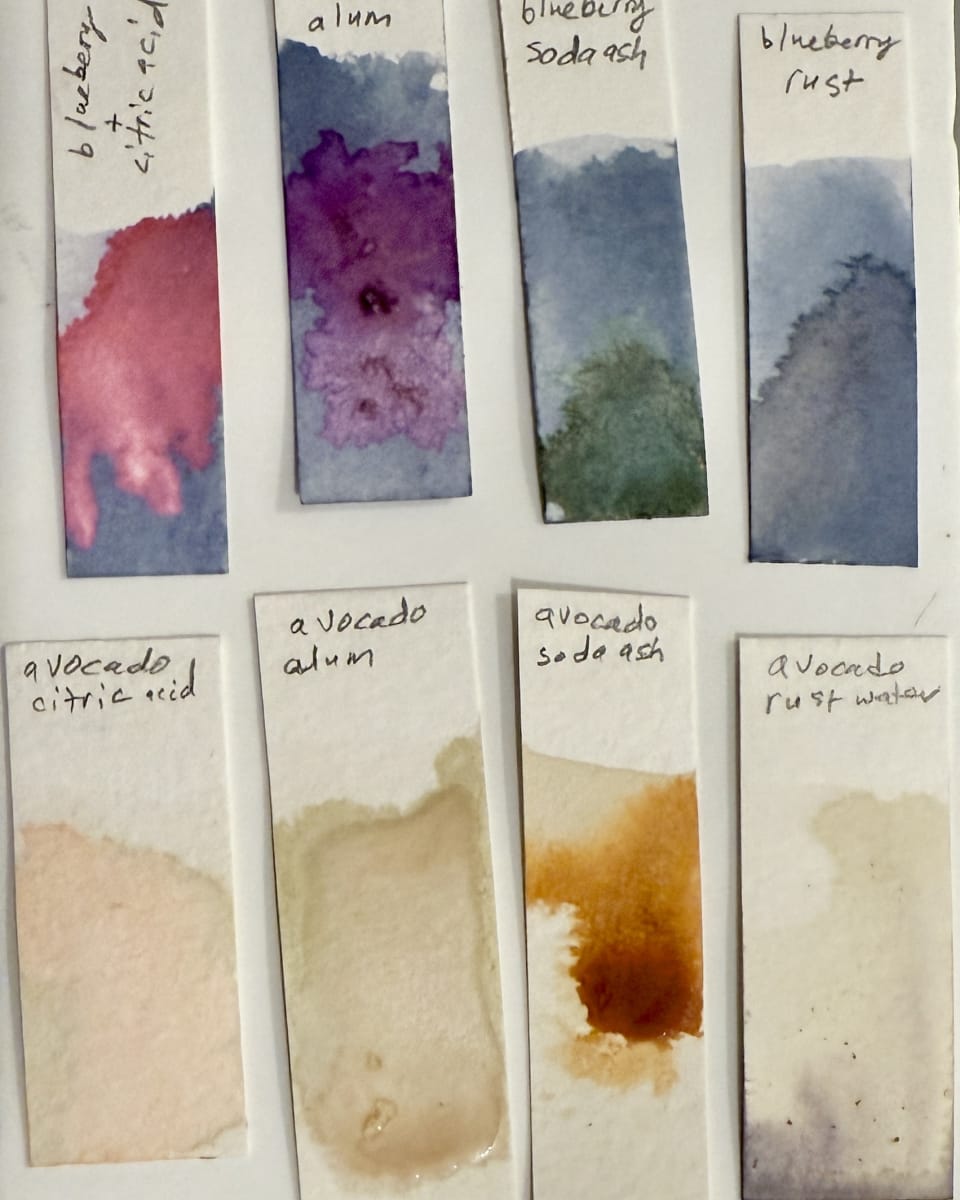 Handmade Natural Inks with Elizabeth Mihaltse Lindy - Beginner Friendly, Adults & 15+ at That Creative Space in Beacon, NY Photo