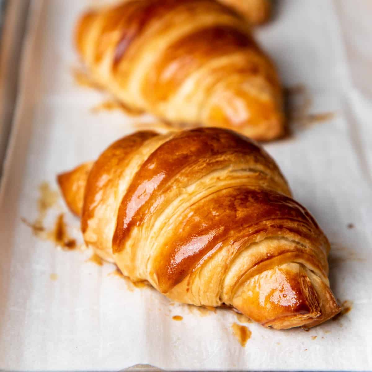 Laminated Dough Intensive Two-Day Workshop: Rough Puff, Danish & Croissant Doughs from Scratch - 9/26 & 9/27 Photo