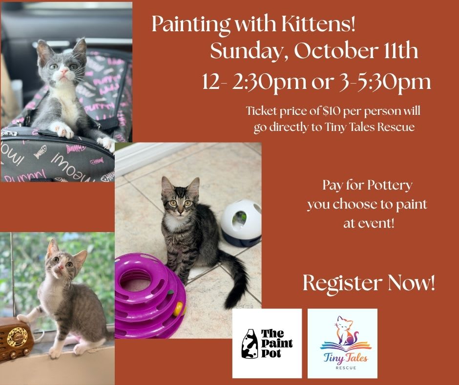 Painting with Kittens Photo