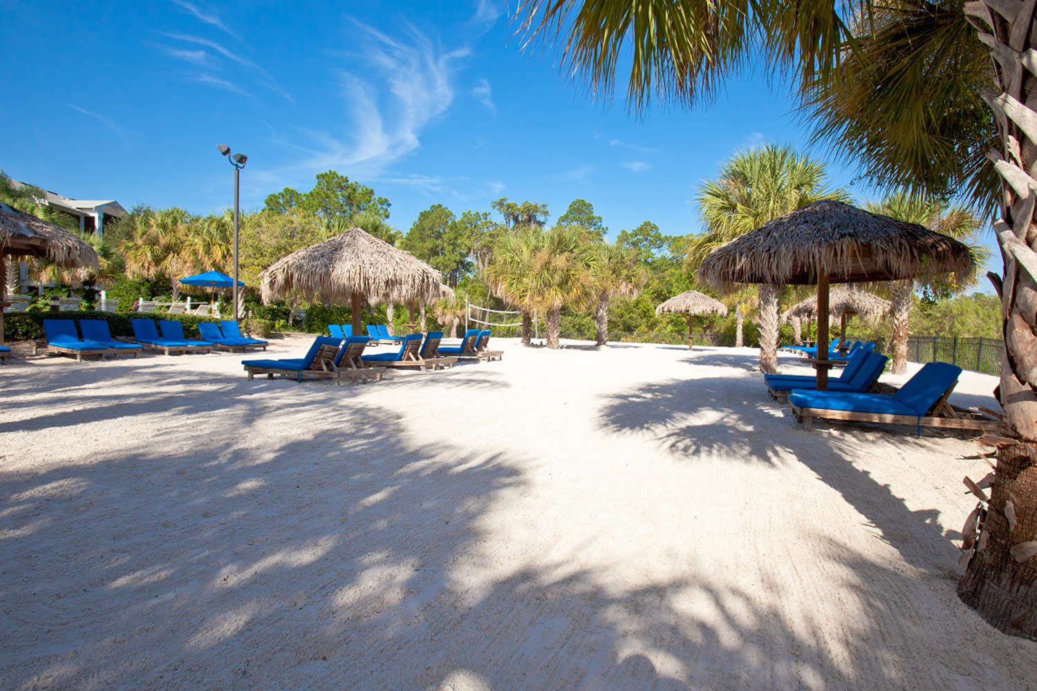 Bahama Bay Resort Deals & Offers Ocean Florida