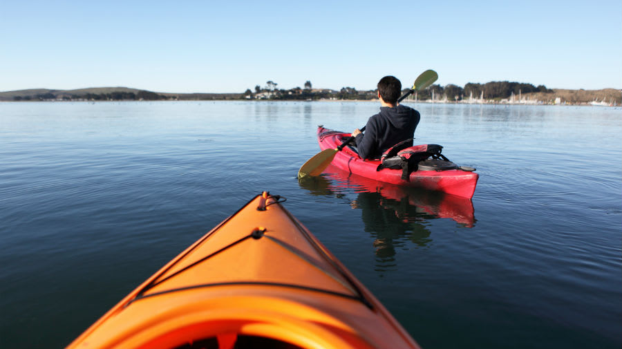kayak cruise