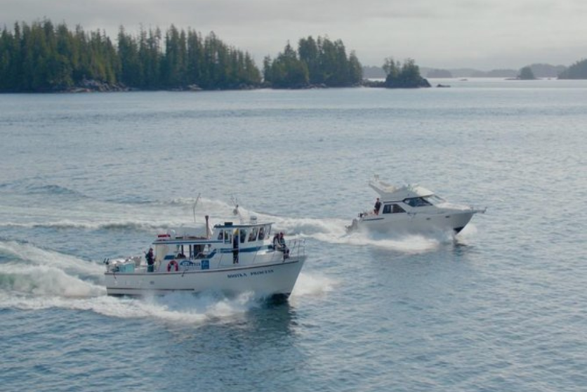 Whale watching & sightseeing tour in Ucluelet, Vancouver Island Ocean