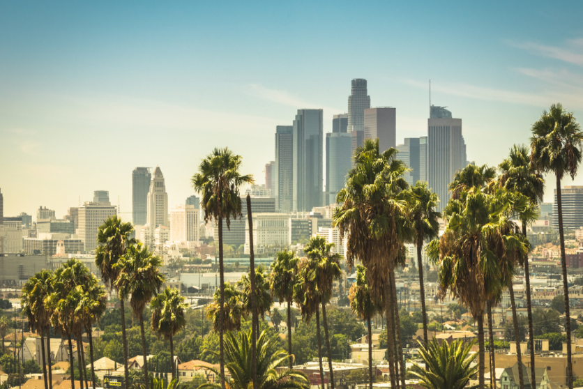 Full Day Viewing Iconic Sights of LA Hollywood Beverly Hills Beaches Full Day Viewing Iconic Sights of LA Hollywood Beverly Hills Beaches