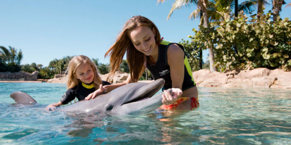 discovery cove