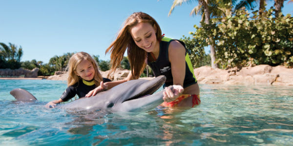 Discovery Cove