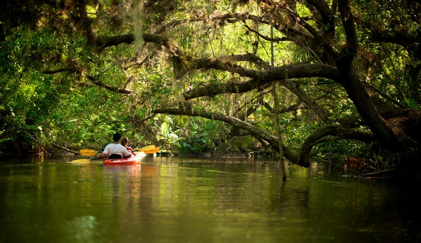 Caloosahatchee 