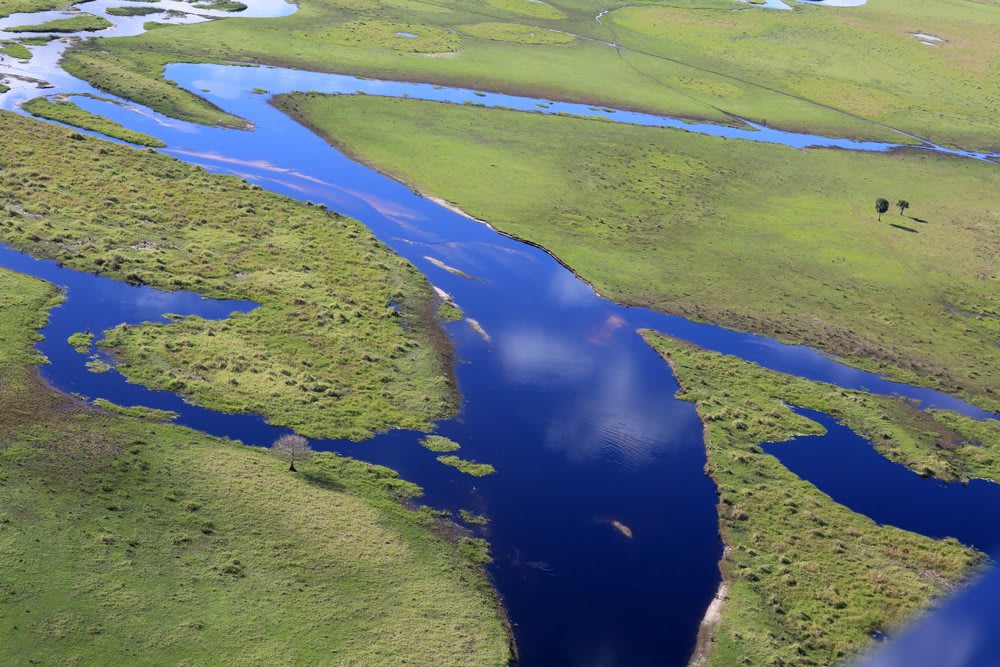 Florida Everglades