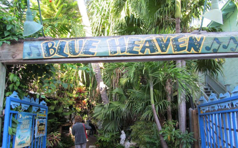 Blueheaven - key West