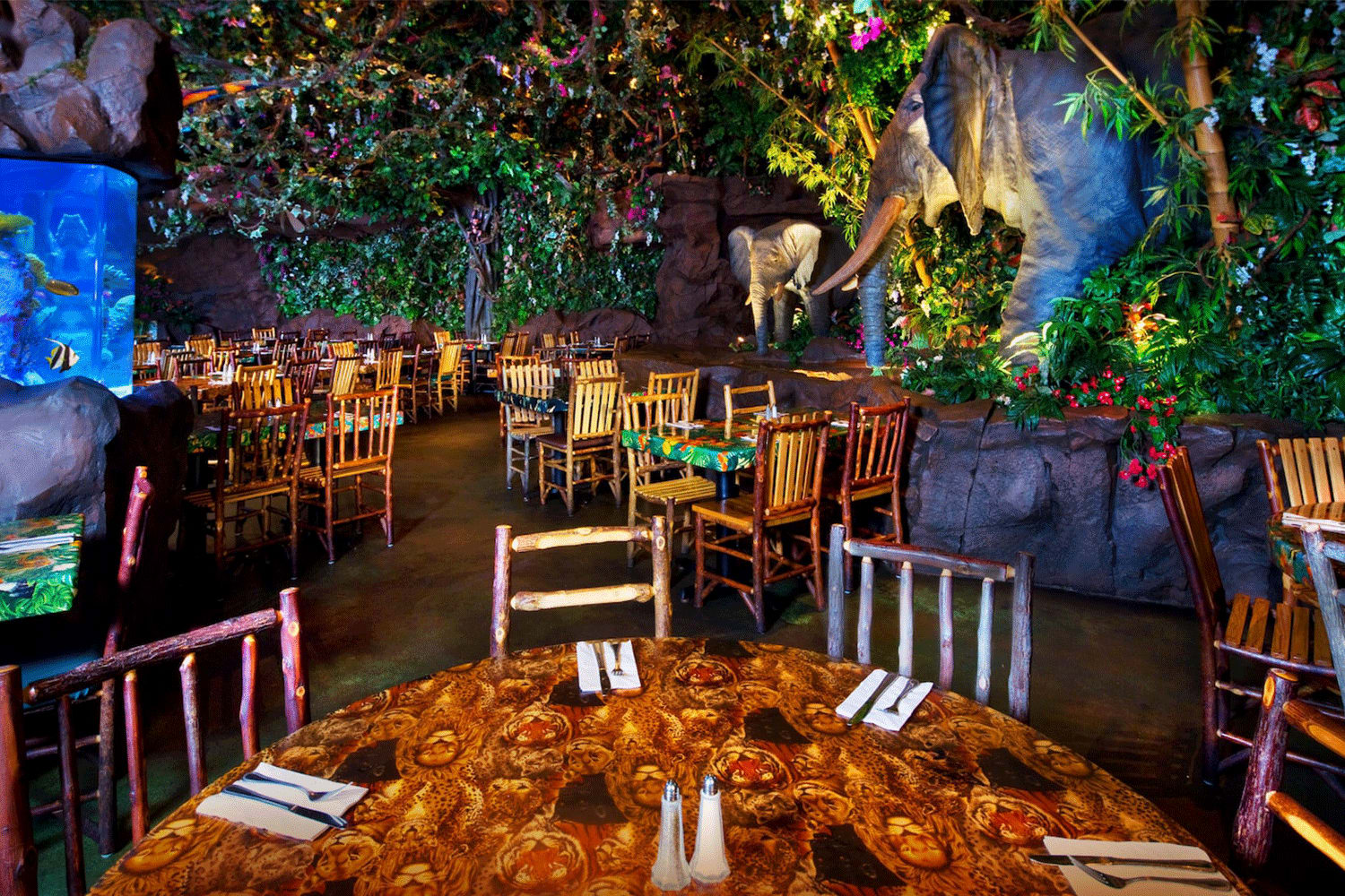 Rainforest Café®, Disney’s Animal Kingdom