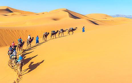 Line of travellers on camels in The Sahara, Morocco