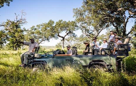 Game drive through Kruger National Park