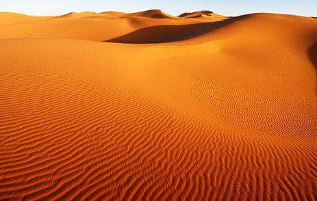 Golden sand dunes in the Sahara Desert