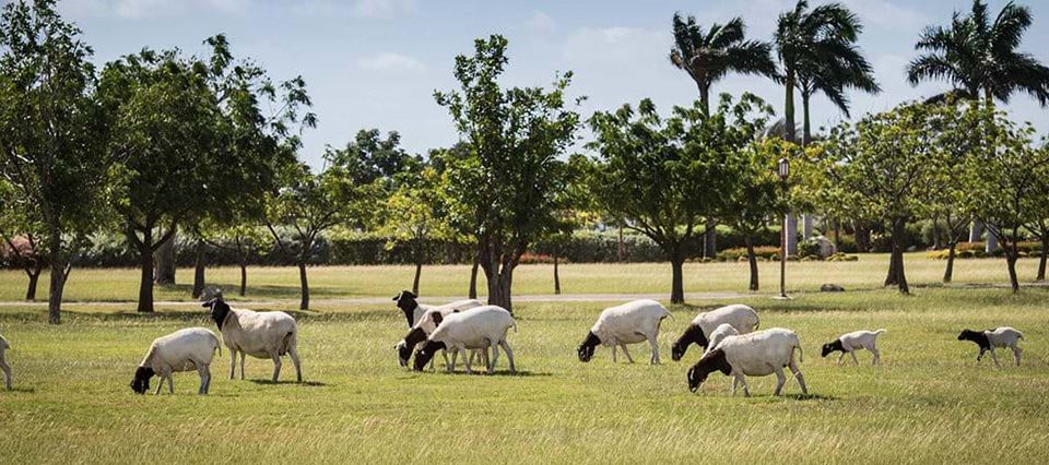 Wildlife Sanctuary