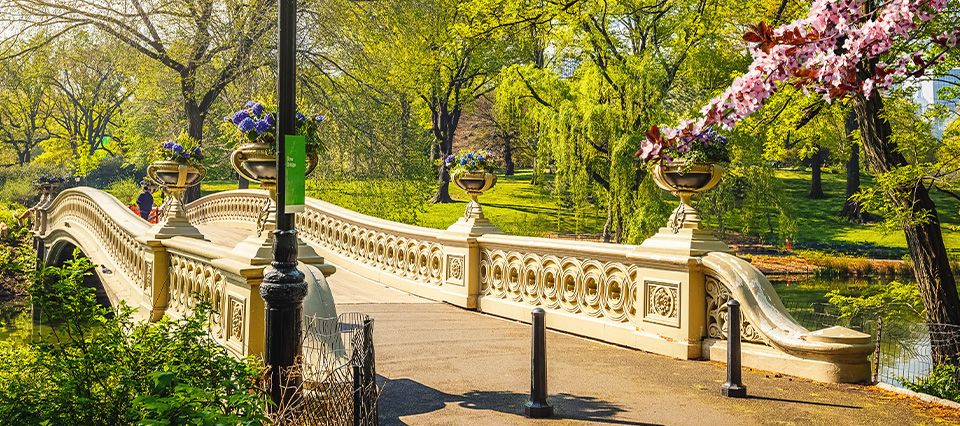 Central Park Bow Bridge