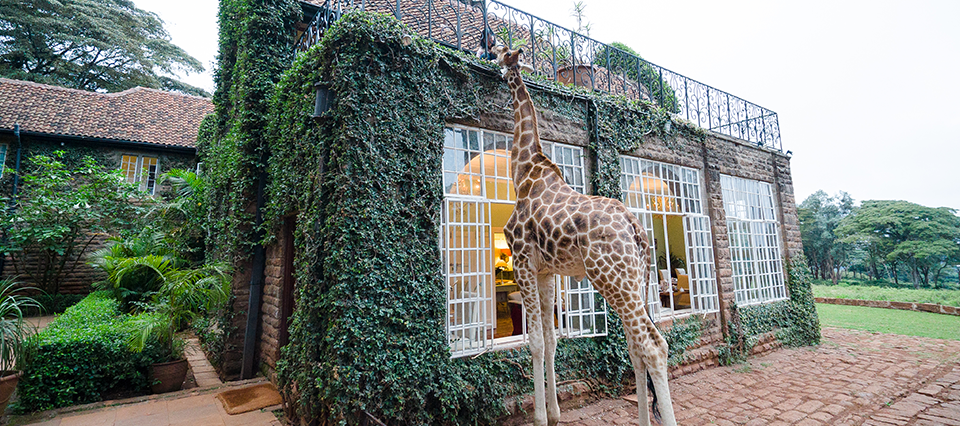 Giraffe Manor