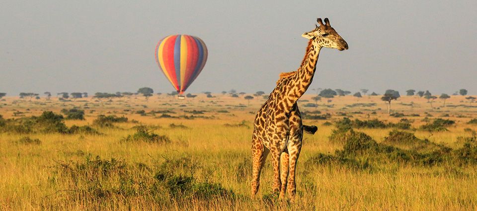 Hot air ballooning over the Serengeti