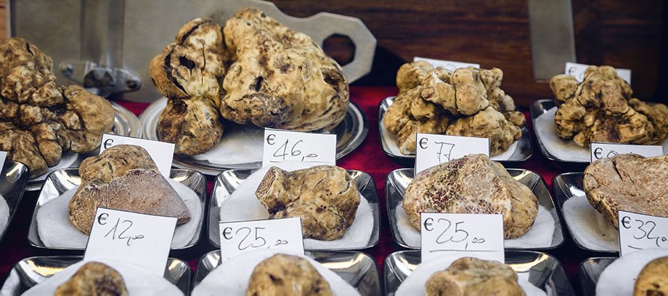 Eat truffles in Tuscany