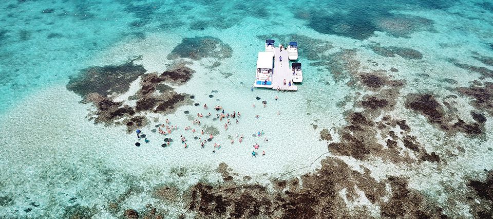 Stingray City