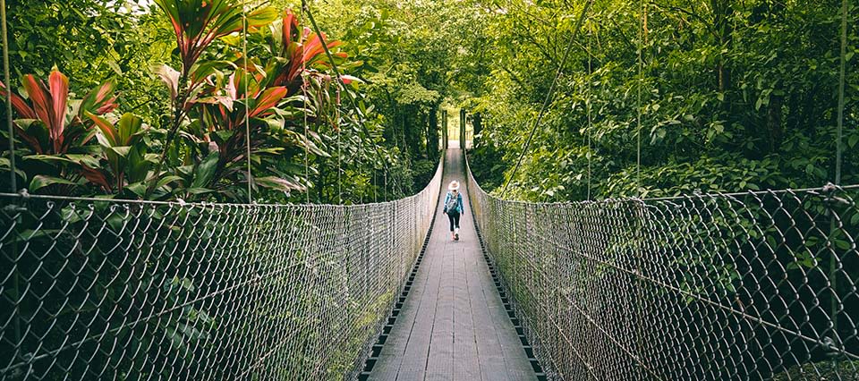 Canopy walks in Monteverde Cloud Forest