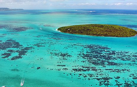 Ile aux Aigrettes, Mauritius