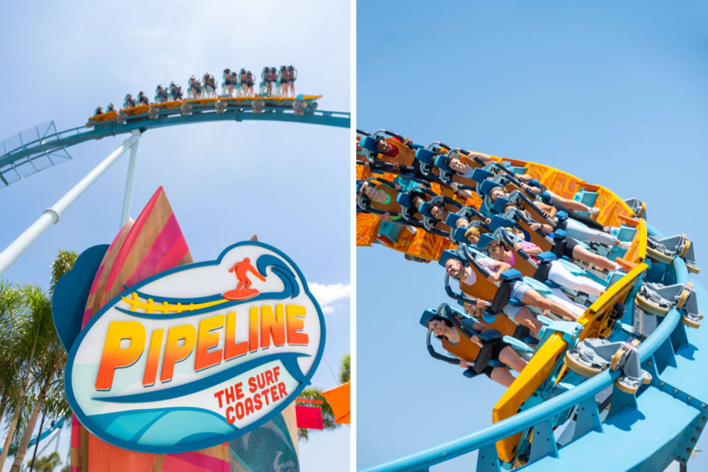 Everything to Know About the Pipeline Surf Coaster at SeaWorld Orlando -  Fun Park Go