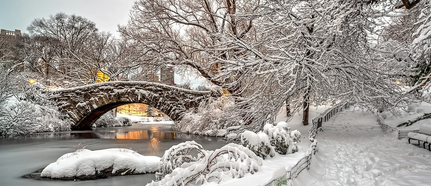 Central Park, New York in December