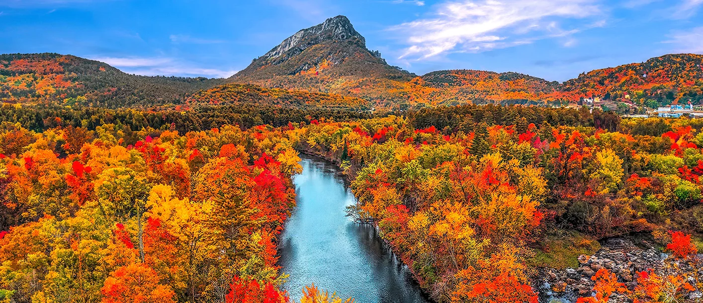 Changing of the leaves in New England