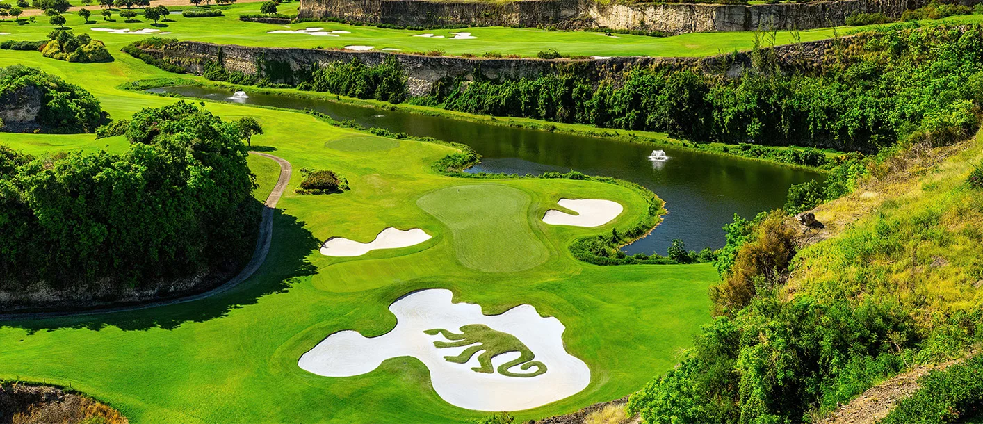 The Green Monkey golf course