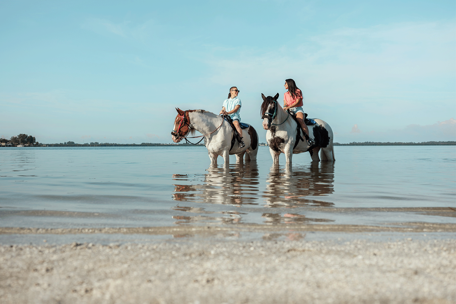 Florida horse riding on the beach