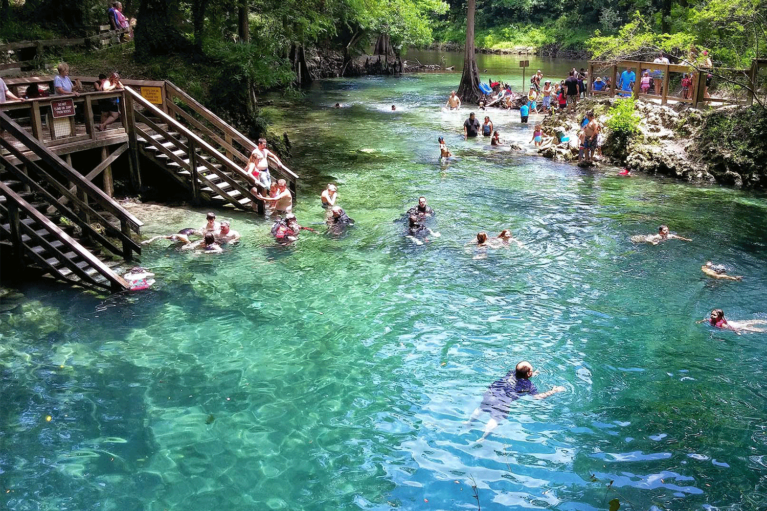 Madison Blue State Park Florida