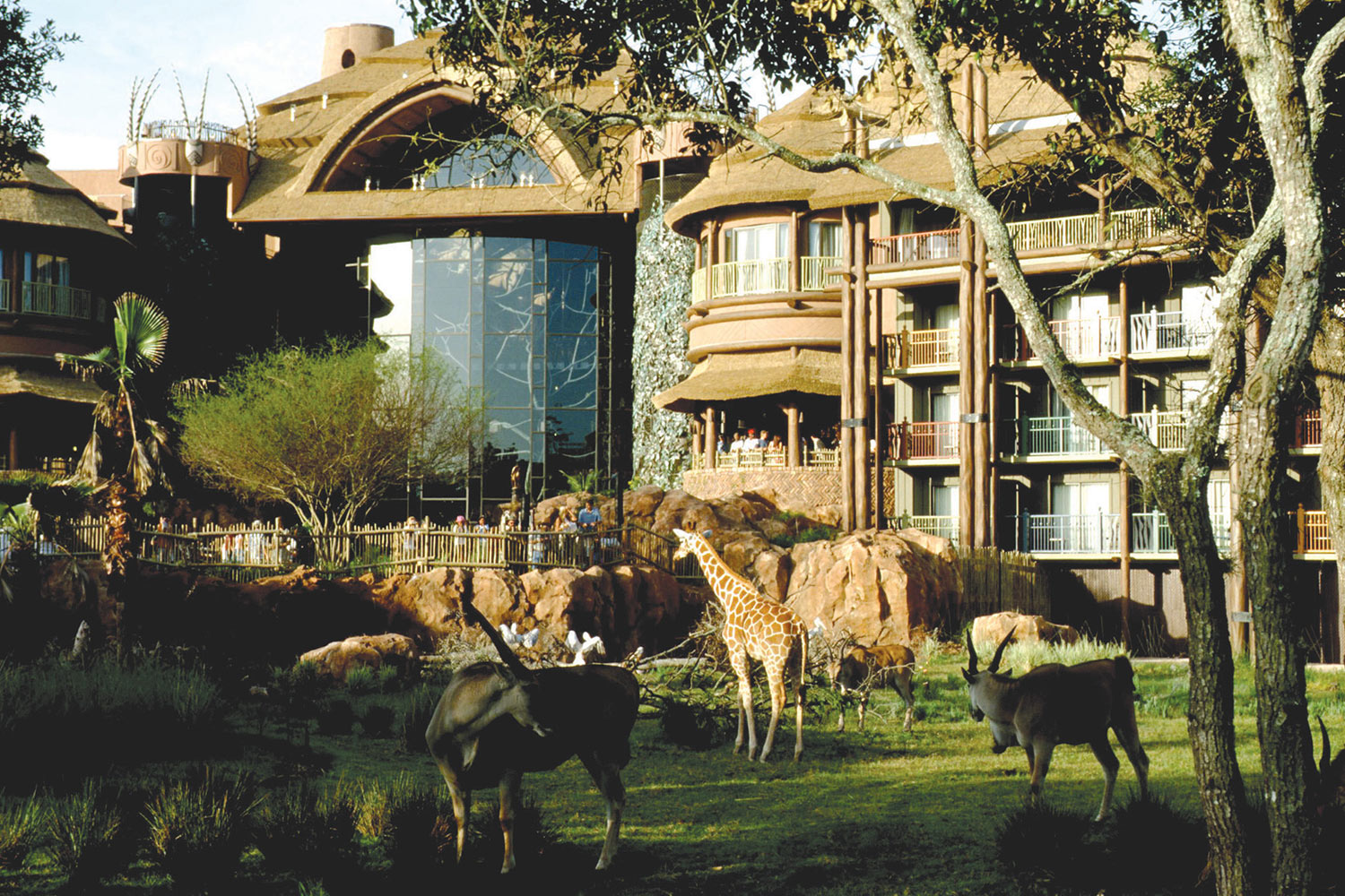 Disney's Animal Kingdom Lodge | Ocean Florida