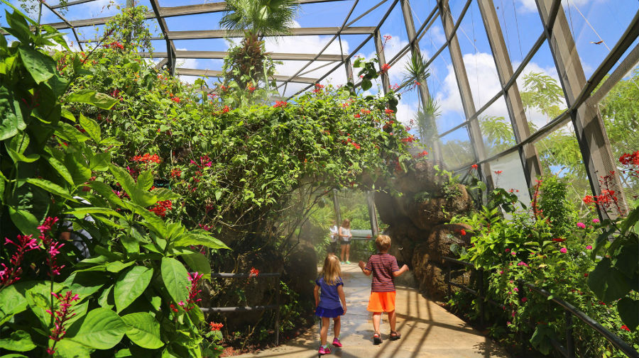 Butterfly World Fort Lauderdale Ocean Florida