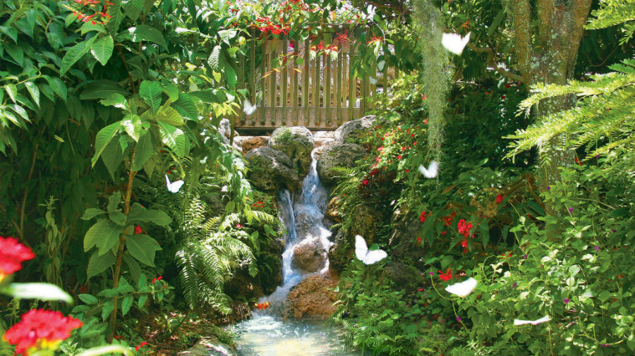 Butterfly World Fort Lauderdale Ocean Florida