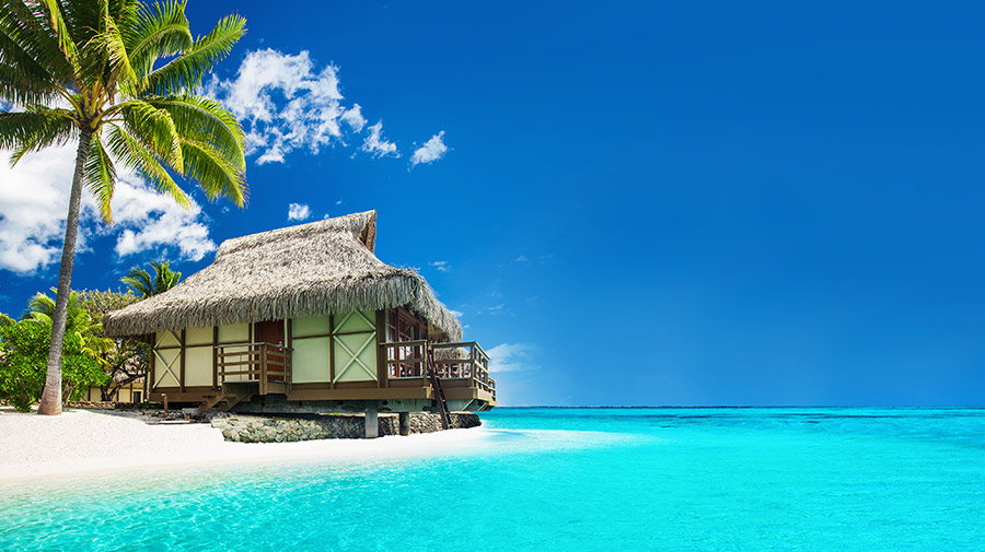 Caribbean Cruise & Stay Holidays 2020 & 2021 Ocean Florida