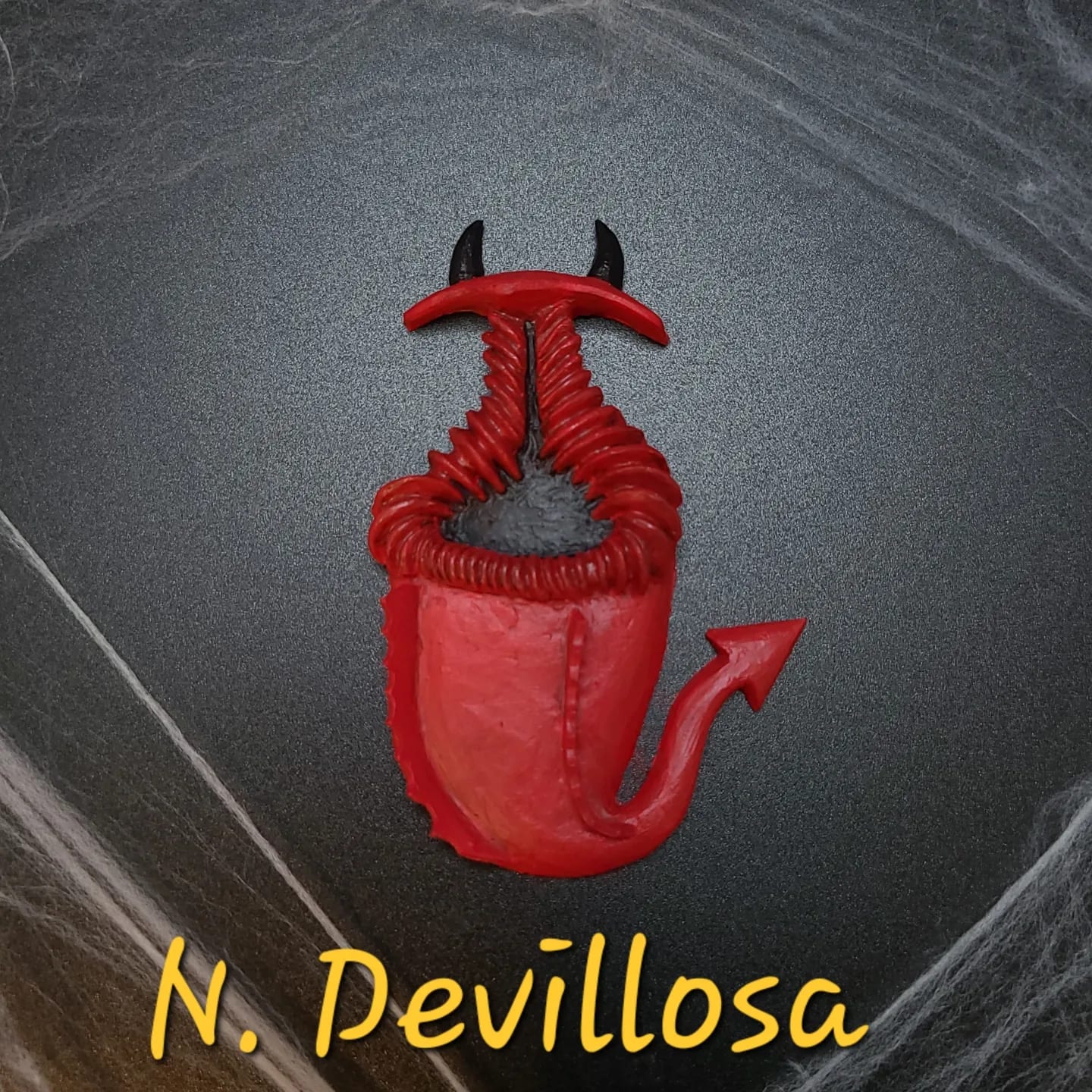 Nepenthes "devil-losa" magnet HAND PAINTED