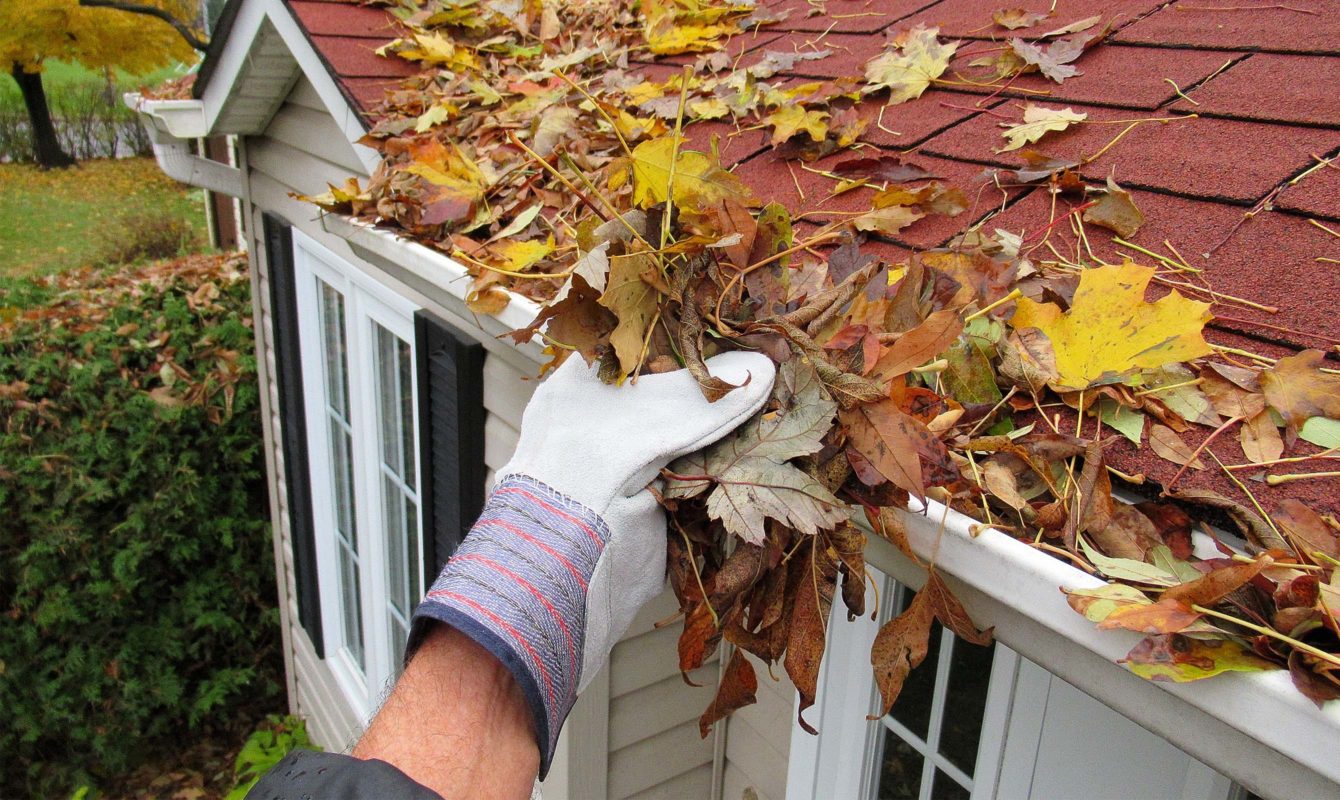 Roof Maintenance