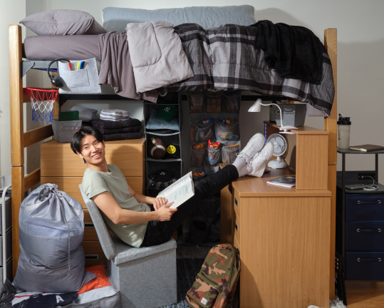 The Wonderland Collection Wonderland: Guys / Men’s Dorm Room Bedding Set & Ideas