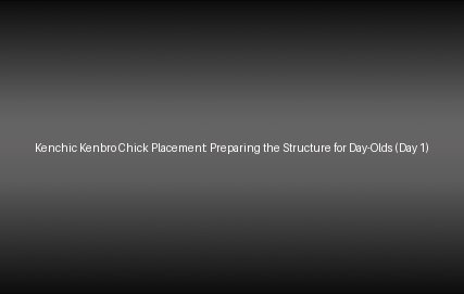 Kenchic Kenbro Chick Placement: Preparing the Structure for Day-Olds (Day 1)