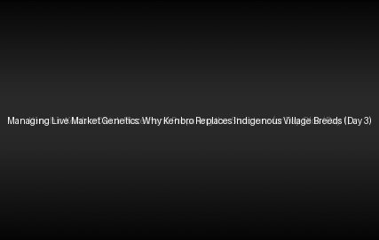 Managing Live Market Genetics: Why Kenbro Replaces Indigenous Village Breeds (Day 3)
