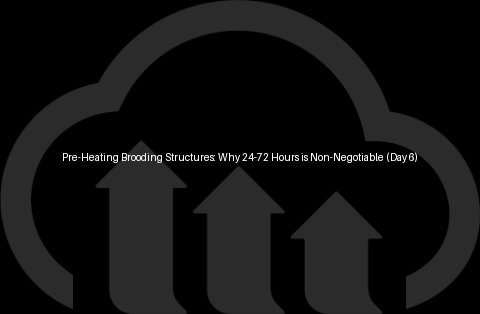 Pre-Heating Brooding Structures: Why 24-72 Hours is Non-Negotiable (Day 6)