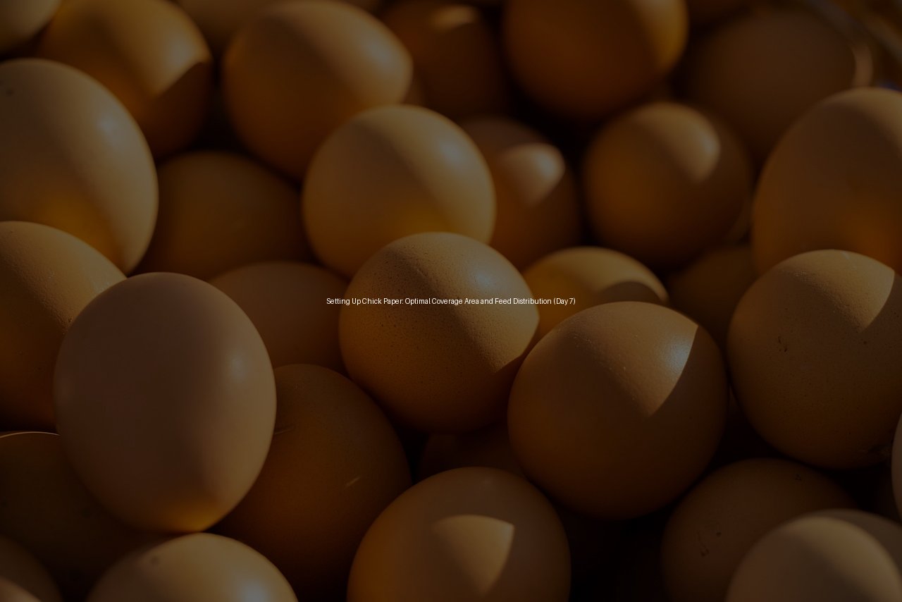 Setting Up Chick Paper: Optimal Coverage Area and Feed Distribution (Day 7)