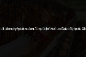 The Day-One Hatchery Vaccination Bundle for Kenbro Dual-Purpose Chicks (Day 7)