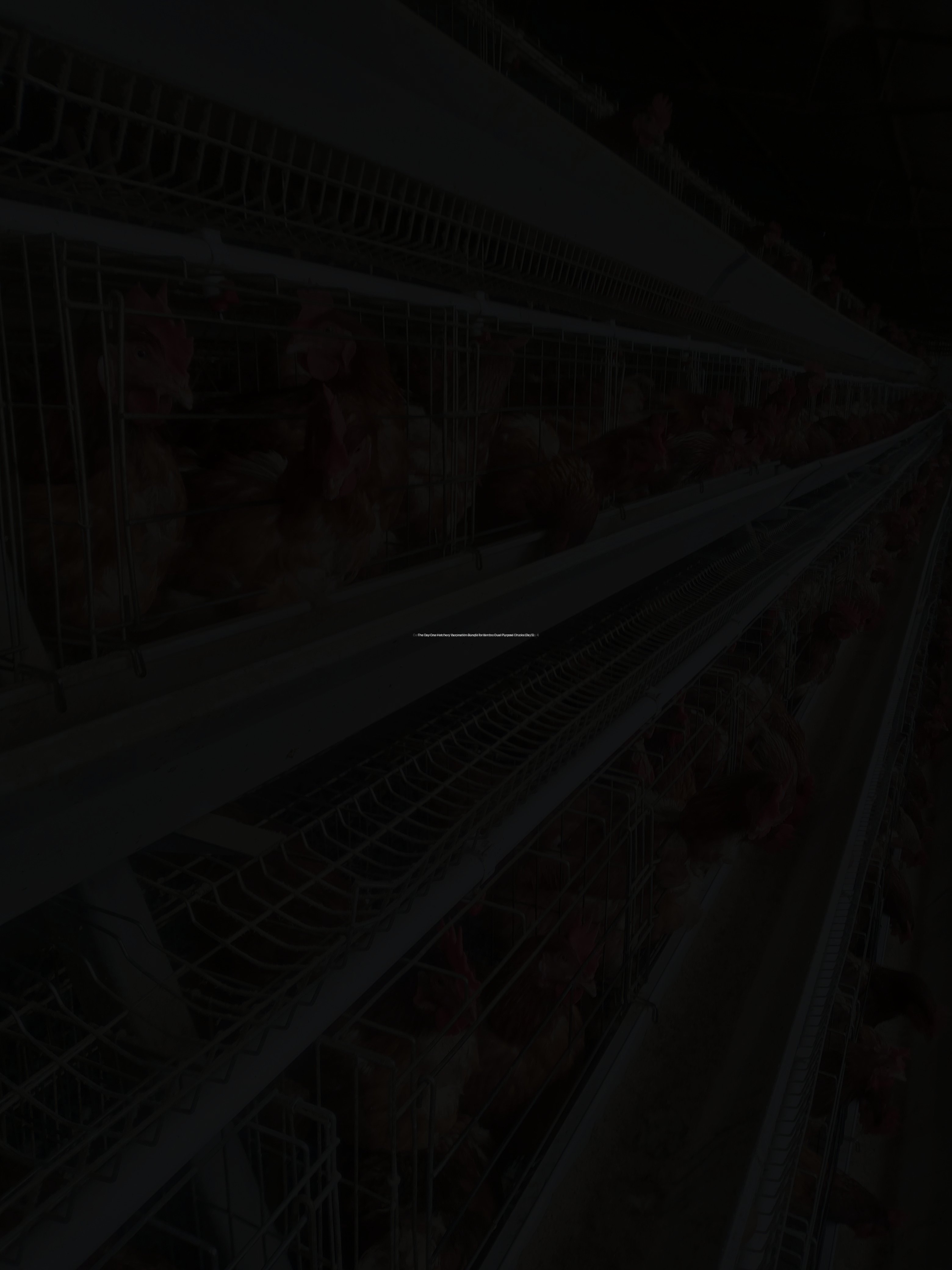 The Day-One Hatchery Vaccination Bundle for Kenbro Dual-Purpose Chicks (Day 5)